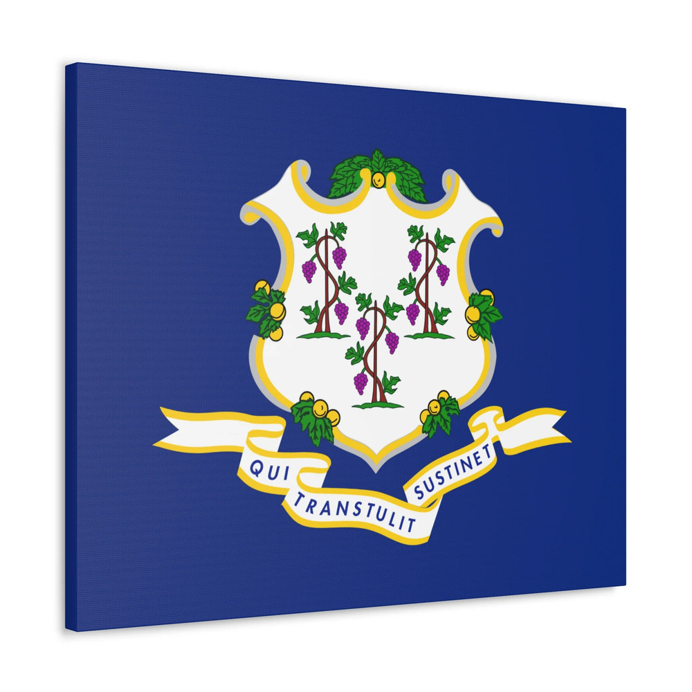 Connecticut State Flag Canvas Vibrant Wall Art Unframed Home Decor